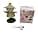 Cartoon Scarecrow Desk Lamp, USB Powered Green Hat Character Night Light